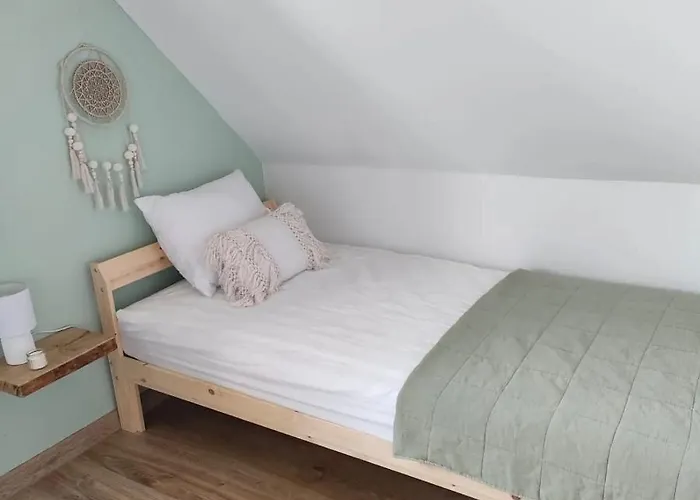 Leszczynowe Zacisze Wiele